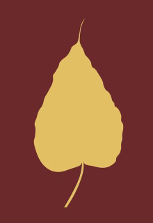 24_05_25_Planting_Seed_Bodhichitta_WEB