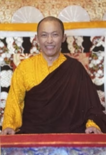 A Buddhist monk in yellow robes sitting at a temple altar.