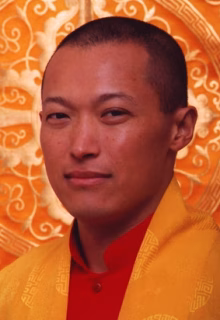 Sakyong gelb copy